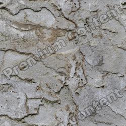 Photo Textures of Seamless Wall Plaster